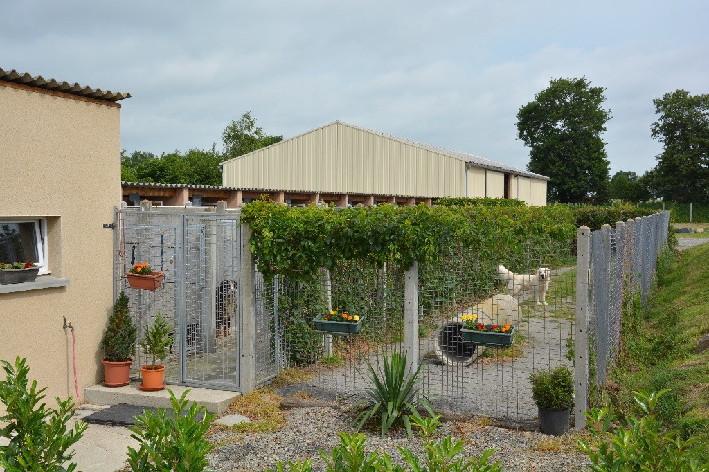 Du Clos De L'Ecotay - Pension Canine