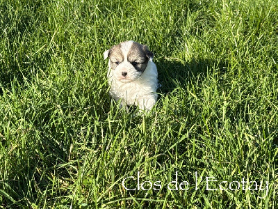 VANILLE pour Hélène