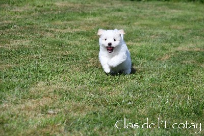 VAÏA pour Stéphanie