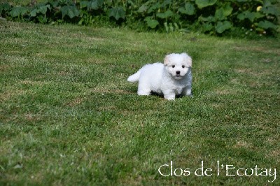 VAÏA pour Stéphanie