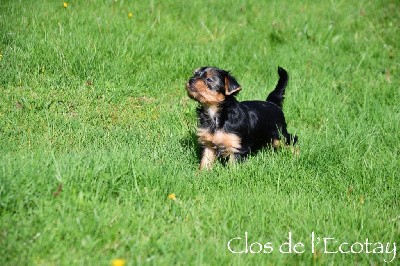 VICKY pour Alain et Marie Christine