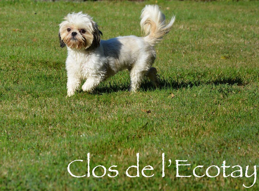 Recital Du Clos De L'Ecotay