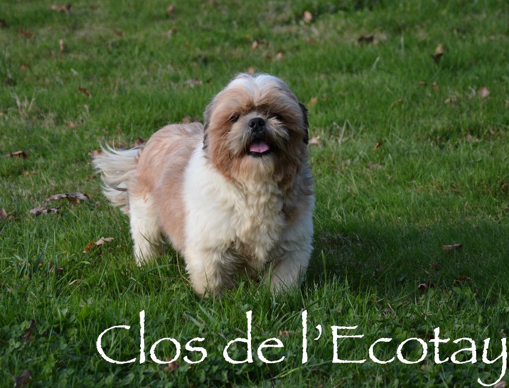 Rox du mont de la chenaie