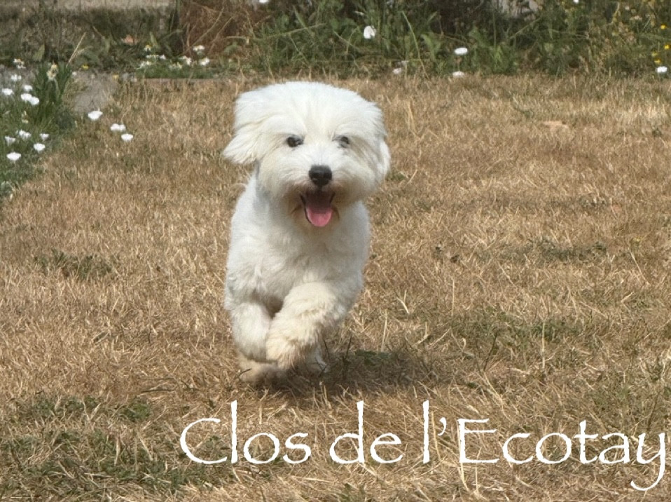 Tartine Du Clos De L'Ecotay