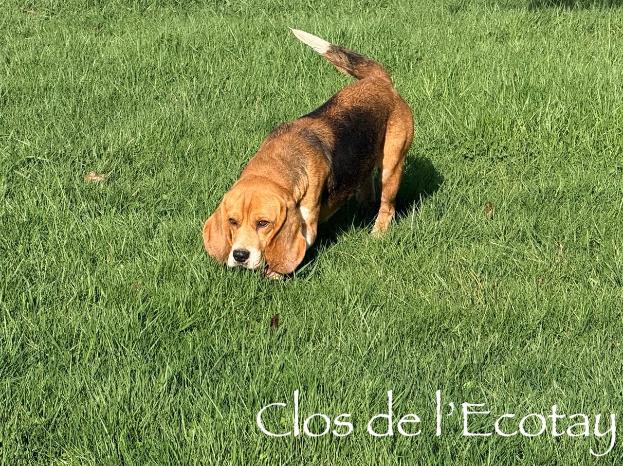 Tequila (Sans Affixe)